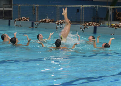 Sincro 10