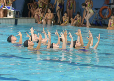 Sincro 12