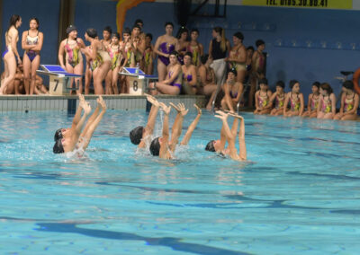 Sincro 14