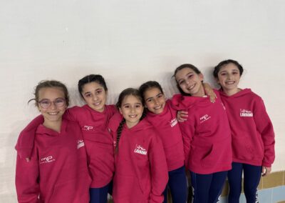 Sincro 6
